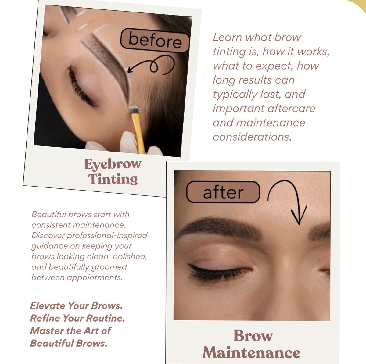 The Cheat Sheet to Lovely Brows